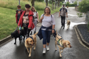 Marsch mit Blindenfhrhunden