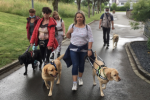 Marche avec les chiens d'aveugle