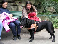 Description d'image: Elisabeth fait une pause avec son chien guide