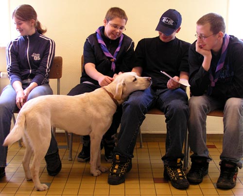 Photo: Tornarde fait un tour pour dire bonjour � tout le monde.