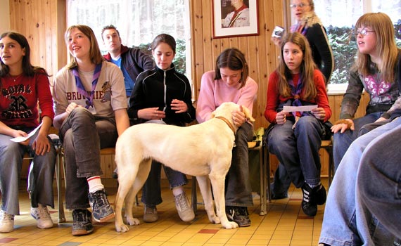 Photo: Tornade peut enthousiasmer tout le monde.