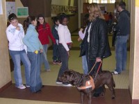 Photo: Rene Mischel et chien guide Toy illustrent le travail de guidage