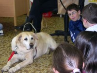 Photo: Le chien guide Xerius est content de voir les enfants