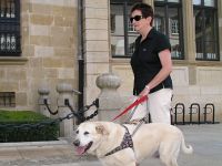 Foto: Christiane Reyter und Xerius berqueren den Platz vor dem Palais