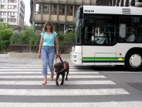 Photo: Rene Mischel et Toy traversent une rue