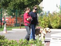 Foto: Stephan lsst sich "blind" von seinem Hund fhren