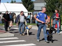 Photo: Trois familles d'accueil prsentent les progrs de leurs chiens