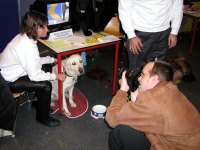 Foto: Die Hunde sind immer wieder gut fr ein Pressefoto.