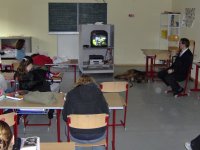 Foto: Die Schülerinnen schauen sich Videofilme über das richtige Verhalten gegenüber eines Blindenführhundgespannes an