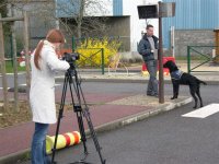 Foto: Eine Schlerin beim Filmen eines Hundes bei der Ausbildung