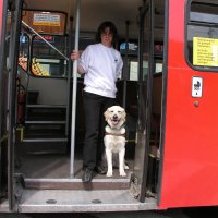 Foto: Selbst Fhrhund Urak macht das Testen der Busse Spa