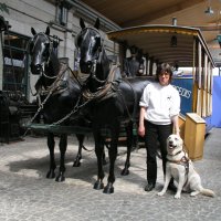 Foto: Hier ziehen nur noch Pferde aus Holz den Strassenwagen.