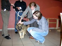 Foto: Die Fhrhndin Orfe wird gestreichelt