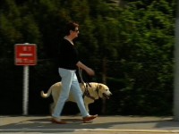 Foto: Christiane und ihr Führhund Xerius auf ihren täglichen Wegen