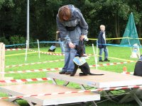 Foto: Der kleine Welpe wird mit einer Treppe vertraut gemacht