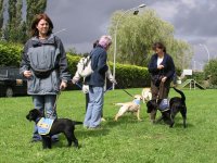 Foto: Die Gastfamilien mit ihren Hunden