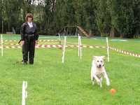 Photo: Le chien guide Urak en jouant