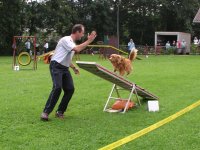 Foto: Die Hunde mssen ber eine Wippe balancieren.