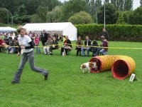 Foto: Ein Hund durchluft einen Rhrentunnel