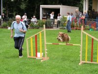 Foto: Agility ist etwas fr jedes Alter von Hund und Mensch.