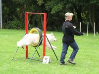 Photo: Un chien dans le pneu suspendu