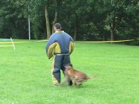 Foto: Ein Hetzer versucht dem Hund zu entkommen.