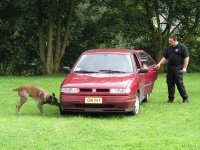 Foto: Ein Hund sucht nach der verloren gegangenen Waffe.