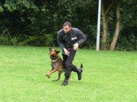 Photo: Le chien chasse la personne de la voiture.