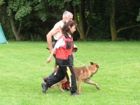 Foto: Whrend des 'Seitentransportes' behlt der Hund den Helfer im Auge.