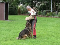 Photo: Durant la 'phase de garde' le chien ne doit pas toucher au bras de protection (sa proie).