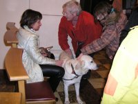 Photo: Blindenführhund Urak findet grossen Anklang