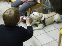 Photo: Le chien guide Urak se laisse patiemment photographier