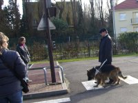 Foto: Roland Welter und Fhrhndin Orfee beim berqueren einer Strasse.