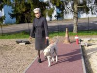 Foto: Christiane Ney und Ihr Hund Wodka zeigen, wie man korrekt mit einem Blindenfhrhund arbeitet.