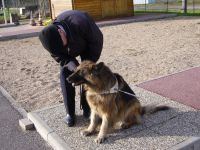 Photo: Roland Welter vrifie le harnais du chien guide.