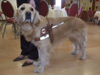 Photo: La chienne guide Vicky est centrale.