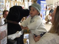 Photo: Un enfant a dcouvert notre chien peluche.