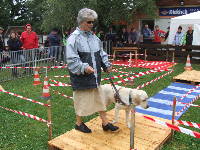 Foto: Christiane Ney mit Fhrhund Vodka zeigen was sie gelernt haben.