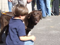 Foto: Ein kleiner Junge streichelt einen Fhrhund.