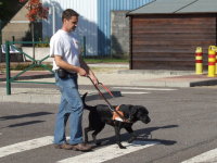 Photo: L'ducateur Pierre Henry montre comment un chien guide traverse un passage pour pitons.