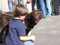 Photo: Un petit garon caresse un chien guide.