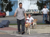 Photo: Stphane Tinnes traverse avec son chien en ducation un passage pour pitons.