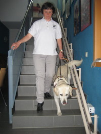 Photo: Josiane und Fhrhund Urak zeigen wie man eine Treppe korrekt bewltigt.