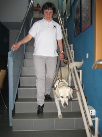 Photo: Josiane et chien guide Urak descendent un escalier.