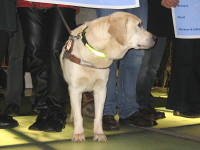 Photo: Le chien guide Urak est content du don.