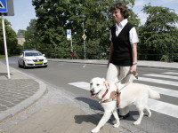 Foto: Josiane Rommes und Fhrhund Urak berqueren einen Zebrastreifen.