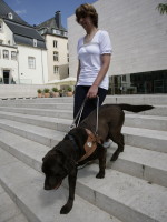 Photo: Rene Mischel avec le chien guide Toy.