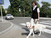 Photo: Josiane Rommes avec chien guide Urak sur un passage pour pitons.