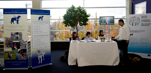 Foto: Unser Informationsstand