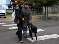 Photo: Une ducatrice donne des conseils   une personne non-voyante